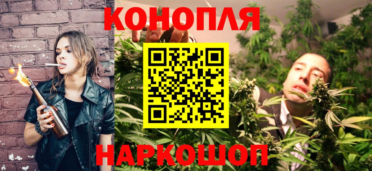 Конопля сатива  Каннабис конопля  Марихуана семена  Вход с VPN  Бошки Шишки конопля  Семёнов 